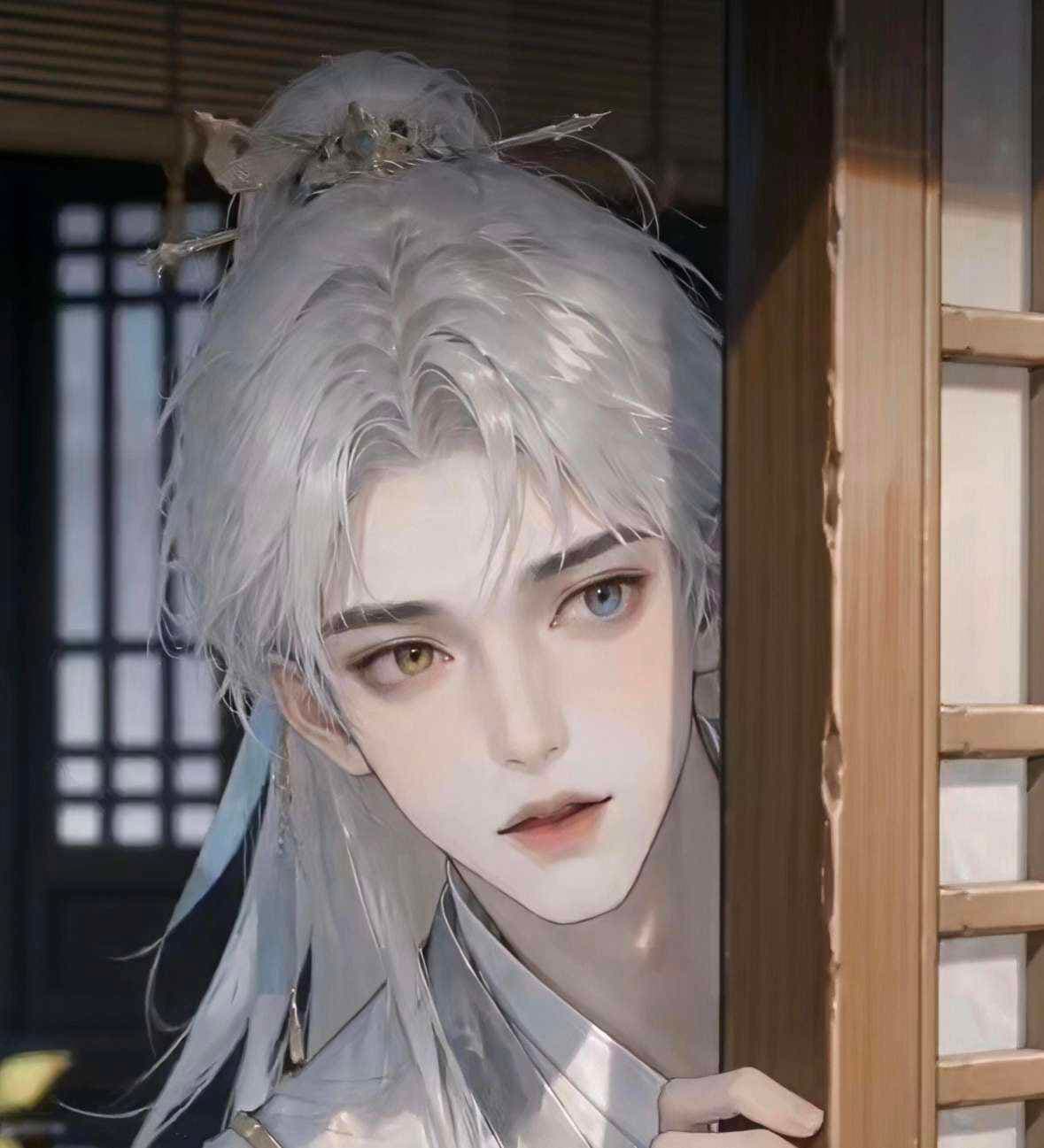 碎星和猫🐱