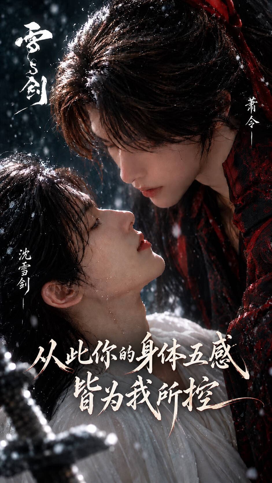 雪与剑