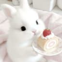 小叶子漫剧