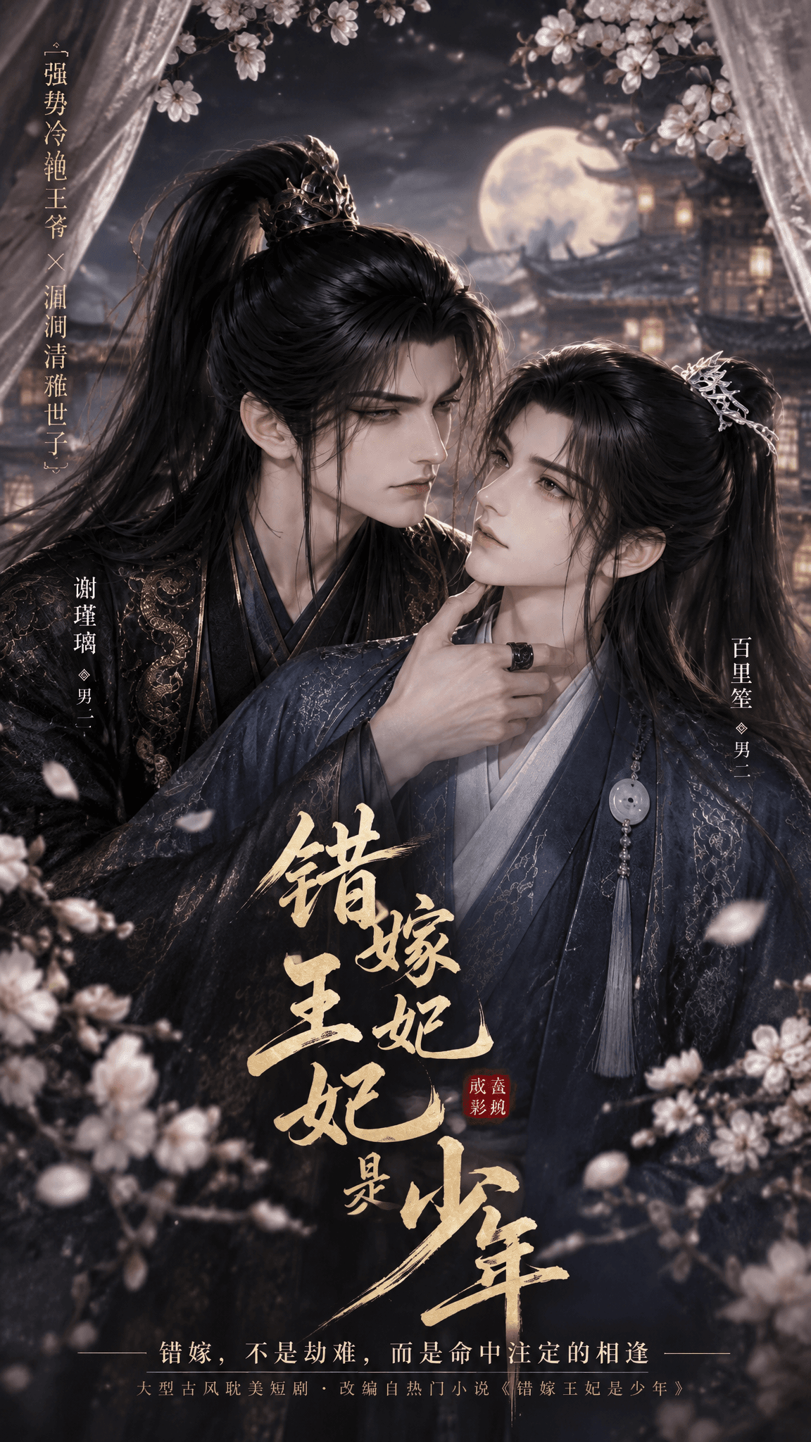 错嫁王妃是少年